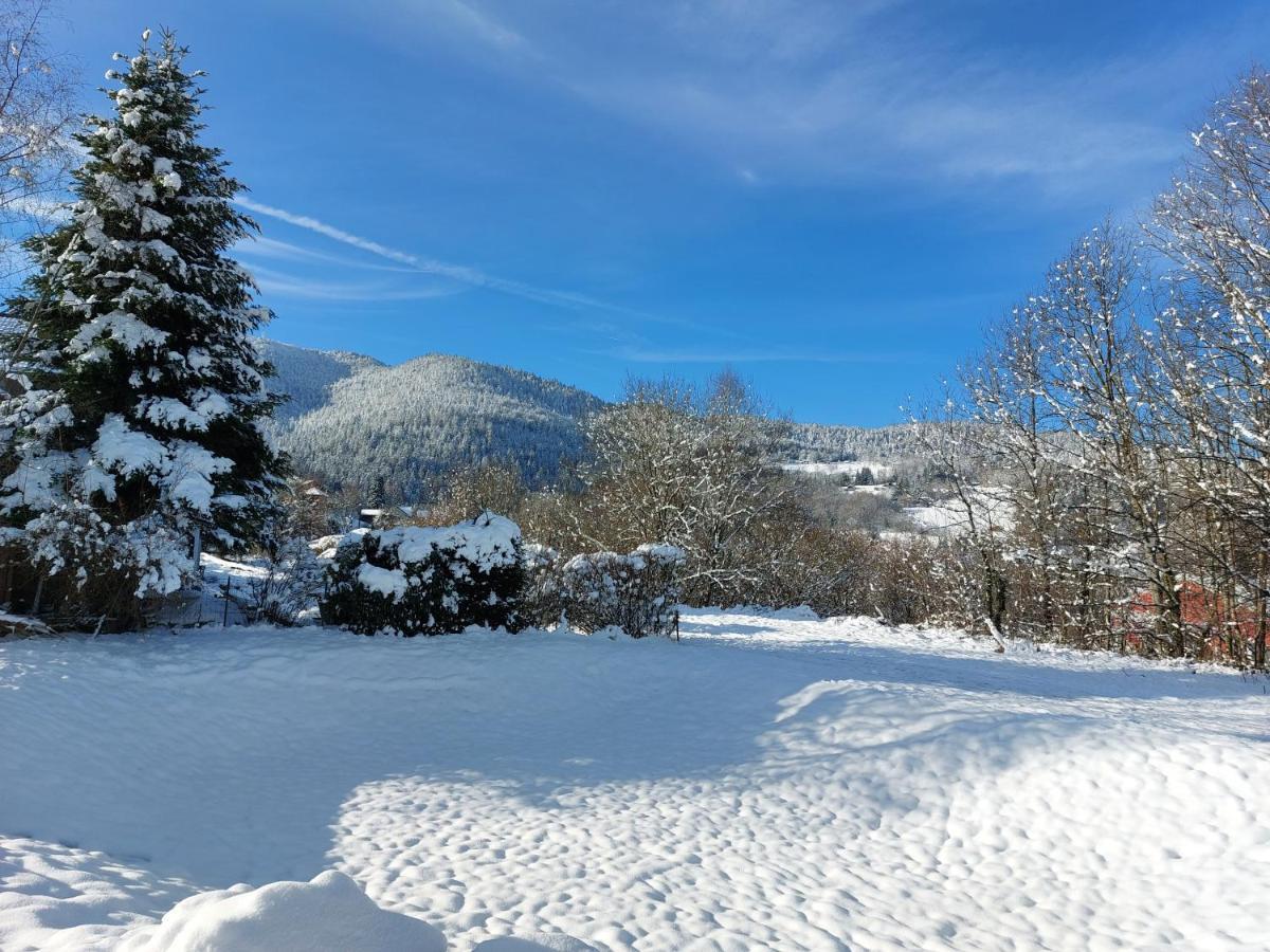 Au Bonheur Fait Maison Bed & Breakfast Saint-Maurice-sur-Moselle Dış mekan fotoğraf
